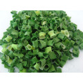 New Crop (AD) Natural Dehydrated Chive Tube